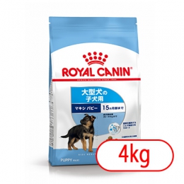 ロイヤルカナン SHN ゴールデンレトリバー 子犬用 (マキシ パピー)(ジュニア) 4kg
